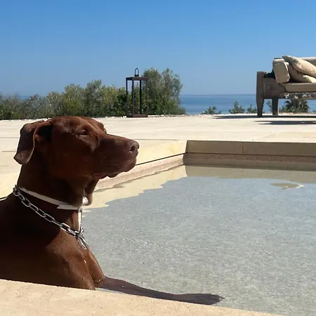 Trullo Dei Silvi 2 By Salento Prime